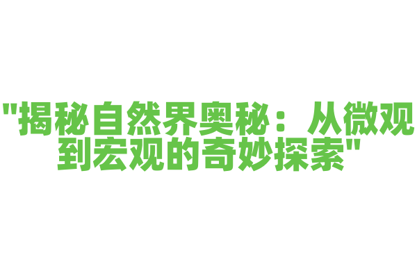 "揭秘自然界奥秘：从微观到宏观的奇妙探索"